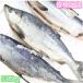  новый шт самец лосось очень большой размер примерно 3.2kg 2023 новый предмет Hokkaido производство [aki ставрида японская осень лосось белый лосось ] отправка P330