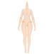 AZONE Q*z BODY S/I грудь [azon]{ продажа settled * наличие товар }