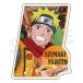 NARUTO-ʥ-  ƥå Ǧ ޤʥ[ĥ󥯥]ԣͽ