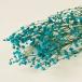 大粒カスミソウ　ブルー　＜ドライフラワー・フラワーアレンジメント・ハーバリウム・花材・花資材＞