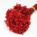 マルセラ　５０ｇ　レッド　＜ドライフラワー・フラワーアレンジメント・花材・花資材＞
