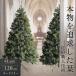 * время ограничено цена 10/16 до *ryuks tree елка 120cma- скалярный подлинный товар. подобный tree Северная Европа изобилие . ветка число Christmastree модный 