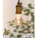 LED�t�B�������g�d�� �~�j�N���v�g�� LED �d�� E17 �d���F �{�[�� ������� ���킢�� ���g�� 550lm 4.8W �N���A �~�j �G�R ������ �ᔭ�M �ȃG�l �f�U�C�� �Ɩ� �֘A�摜1