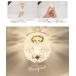 Ampoule���� �V�[�����O���C�g �Ɩ� ������� 1�� ���r���O ���� �g�C�� �L�� �K�i E26 �� �t�����[ �G���K���g ���g�� ���킢�� �Ɩ���� �S�[���h �u�[�P 1C M �֘A�摜5