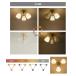 �V�[�����O���C�g led �Ɩ� ������� �k�� �Ɩ���� �V���v�� ���g�� �A���e�B�[�N ���_�� 3�� ���r���O �_�C�j���O �Q�� E26 6�� �J�t�F �C���e���A �}�m�� �֘A�摜4