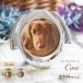  фоторамка фоторамка модный собака Gold серебряный симпатичный сверху товар Mini настольный интерьер под рукой .. домашнее животное & Anniversary рама Coco здесь собака 