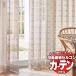 翥ʪ륳 ƥ itto design lace / TT93179318