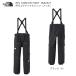  The * North Face лыжи одежда THE NORTH FACE RTG GORE-TEX PANT K Black NS62527 Gore-Tex мужской Sherpa ntsu сноуборд 