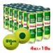 72 лампочка комплект Wilson (Wilson) STARTER PLAY GREEN 4 стартер зеленый midi мяч Kids теннис мяч 1 жестяная банка 4 лампочка ввод ×18 жестяная банка WRT137400(24y11m)
