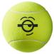  Wilson (Wilson) 2021 Wilson×Minions Mini on z9 дюймовый jumbo мяч WR8202801001(21y6m)