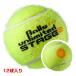 12 лампочка ввод мяч z Unlimited (Balls unlimited) orange мяч ( отметка Mark модель ) ( stage 2) Junior теннис мяч (23y1m)