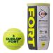 DUNLOP( Dunlop )[FORT( four to)[2 piece insertion ](1 can |2 lamp )] hardball tennis ball 