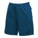  Япония размер blueeq(b Louis k) мужской TECH SHORT PANTS игра шорты . пот скорость .UV cut BQAP-00023-061 C голубой (25y11m теннис для игра одежда )