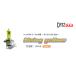 CATZ 㥺 BULB Rising yellow Х 饤󥰥 CB401N