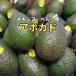  avocado Avocado Mexico production 10 sphere 1 sphere 120 gram rom and rear (before and after) Hokkaido . Okinawa prefecture excepting free shipping 