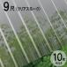  волна доска поли kana miita тепловые лучи cut модель листовая сталь маленький волна (32 волна ) 9 сяку 2730×655mm прозрачный затонированный (4010) 10 шт. комплект JIS стандарт товар taki long кровельный материал [ юридическое лицо только ]