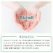 ���b�`�F�� Richell �L�����s���O�L�����[�t�@�C��R �_�u���h�A S �A�C�{���[ �O���[�W�� �O���[�� �����^���E���^���E�L�p �g�ݗ��ĊȒP (����E���� �z���s��) �֘A�摜3