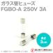 �ٻ�ü�� FGBO-A ���饹�ɥҥ塼�� 1�� �����ȥ�å������� (���: AC250V 3A) (Ĺ��: 3cm) (B�����Ƿ�) NN