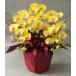  photocatalyst art flower artificial flower Mini . butterfly orchid 3ps.@. yellow opening festival .. festival birthday memory day Mother's Day gift 