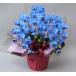  photocatalyst art flower artificial flower Mini . butterfly orchid 3ps.@. blue opening festival .. festival birthday memory day Mother's Day gift 