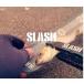 SLASH(�X���b�V��) SL-363 ���C�g�Q�[�����W���[45 �֘A�摜1
