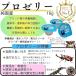 KB�t�@�[�� �v���[���[ 16g�~50�� ���Y ���^���p�N �����[���[ �o�i�i�� �N���K�^ �J�u�g���V �����p �֘A�摜3