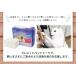�yanifull �����z ���^ �Y���h�~ �y�b�g�V�[�c �X�[�p�[���C�h 27���� �_�C���H�� anifull �A�j�t�� �֘A�摜4