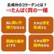 �A�[�X�E�y�b�g �H�ׂ��鎕�݂������[�v ���L�p �P�T�� �֘A�摜3