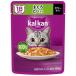 karu campag uchi18 лет из ... хочет ввод 60g