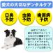 �y2�_�ڔ��z&3�_��99%�I�t�N�[�|���z�z��!�z���Ύ�� �� �L �y�b�g�p �X�P�[���[ ���Ώ��� ������ �����\�h �����a ��� ���^�� ���^�� ��^�� �֘A�摜2