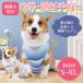  dog . after clothes Elizabeth collar cat dog for . after clothes female male hand . after clothes border small size dog for medium-size dog pet clothes 