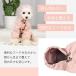 �� ���C���R�[�g �����₷�� �J�b�p ���p���C���R�[�g ��^�� ���^�� ���^�� �J�� �|���`��  �Č� �_�b�N�X �h�b�O�E�F�A �֘A�摜2