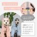�� ���C���R�[�g �����₷�� �J�b�p ���p���C���R�[�g ��^�� ���^�� ���^�� �J�� �|���`��  �Č� �_�b�N�X �h�b�O�E�F�A �֘A�摜3
