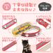 �y2�_�ڔ��z&3�_��99%�I�t�N�[�|���z�z��!�z�� ��� �v ������� ���� �v�� ���p��� ���̎�� �L �v ���� �h�����H ���� �U�� ���킢�� ��^�� �֘A�摜2