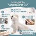 �� ���C���R�[�g �|���`�� ���p ���^�� ���^�� ���[�h���t�� �J�b�p ���E�ȒP �J�� ���킢�� ���U�� �h�� �֘A�摜2
