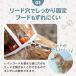 �� ���C���R�[�g �|���`�� ���p ���^�� ���^�� ���[�h���t�� �J�b�p ���E�ȒP �J�� ���킢�� ���U�� �h�� �֘A�摜5