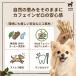 �y3�{�Z�b�g�z�R�[�q�[�E�b�h �� �� ���ނ������� �R�[�q�[�̖� ���Y�� ������ �I�[�K�j�b�N �f���^���P�A  �X�g���X���� �O�b�Y �ߋ� ���L�P�A �ؐ� �֘A�摜3