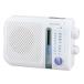 SONY FM/AM радио ванна радио ICF-S70