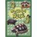  симпатичный! черепаха прокат б/у DVD кейс нет 
