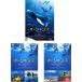  Ocean z+ King dam *ob* Ocean z море . сырой .. жизнь .. передний сборник [ субтитры только ] + после сборник [ субтитры только ] все 3 листов прокат комплект средний 