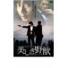  прекрасный .... прокат б/у DVD кейс нет 