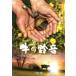  корова. колокольчик звук прокат б/у DVD кейс нет 