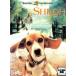 [ есть перевод ] Beagle собака автомобиль iro* жакет . с дефектом прокат б/у DVD кейс нет 