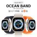 �A�b�v���E�H�b�` �o���h Apple Watch �V���[�Y Series10 9 8 7 6 5 4 SE �X�e�����X �x���g �J�W���A��  ultra 49 46 45 44 42 41 40 38 mm �|�C���g���p