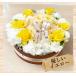 �M�t�g �v���[���g �� �a���� �A�� �I���W�i�� �t�����[�P�[�L �A�����W�����g �Ђ܂�� �J�[�l�[�V���� �o�� ���j�� ���蕨 ���� �֘A�摜3