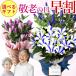 �����J�Ò��I �h�V�̓� �v���[���g ���� ���ǂ� �s���N �u���[ �� �� �Ď� �M�t�g 2026 ���� 4.5���� 4���� ���� ����������� ���΂������ ��������