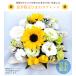 ������ �� ���~ ���~ �I�ׂ� �䋟���̂��� 3000�~�� �R�[�X �t�����[�A�����W�����g �m�� �Ђ܂�� �Ԃ��� ������� �r�� �r�������� �V�N ���� �֘A�摜3