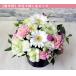 ������ �� ���~ ���~ �I�ׂ� �䋟���̂��� 3000�~�� �R�[�X �t�����[�A�����W�����g �m�� �Ђ܂�� �Ԃ��� ������� �r�� �r�������� �V�N ���� �֘A�摜5
