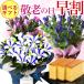�����J�Ò��I �h�V�̓� �v���[���g ���� ���ǂ� �M�t�g 2026 �������� ���� �J�X�e�� �Z�b�g ���� 80�� 70�� ����������� ���΂������ �c�� �c�� ����
