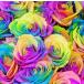  букет радужный роза подарок Rainbow rose miracle 20шт.@. букет White Day подарок подарок Рождество подарок подарок по случаю конца года . покупка 